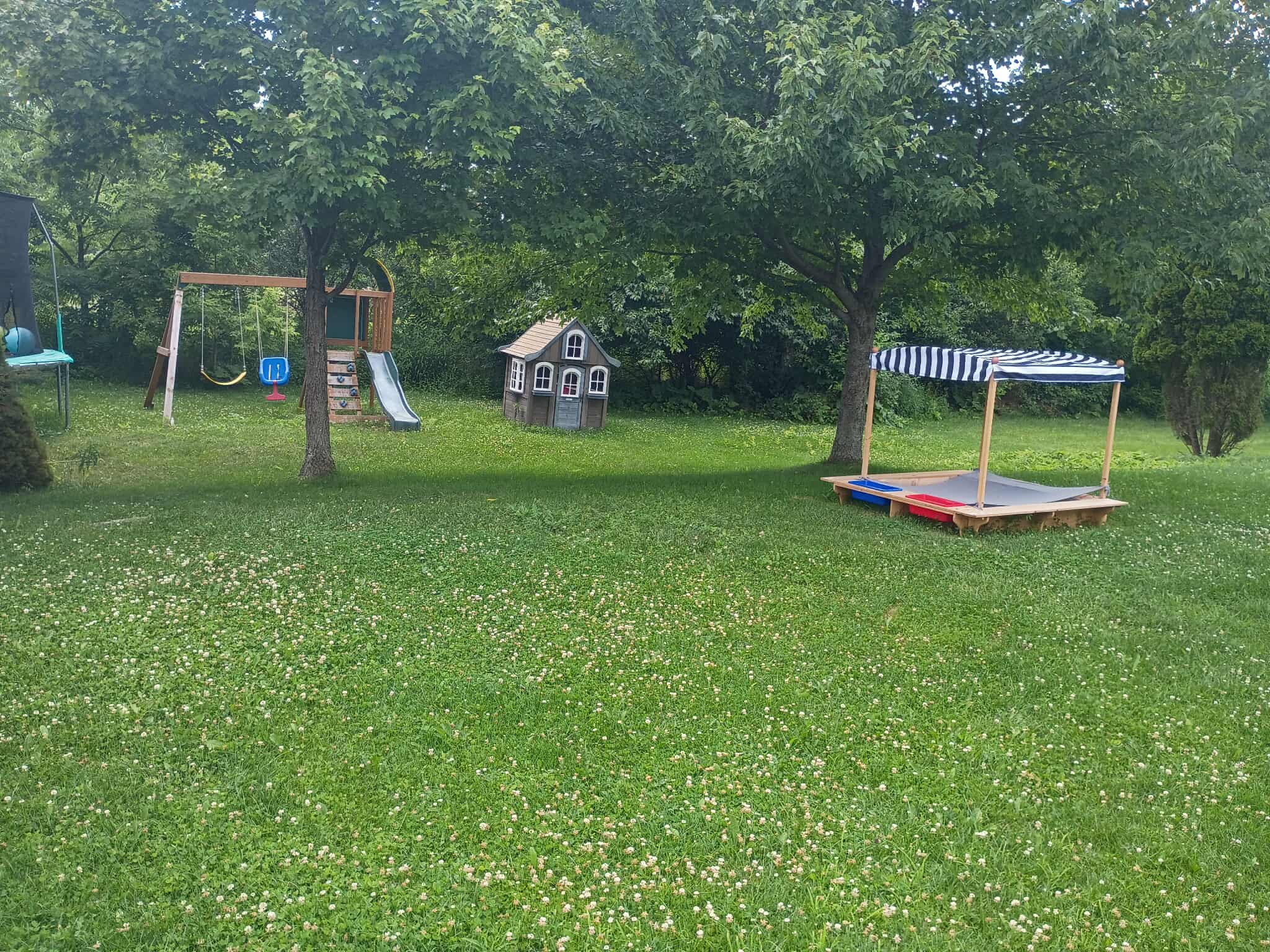 Lawncare Before