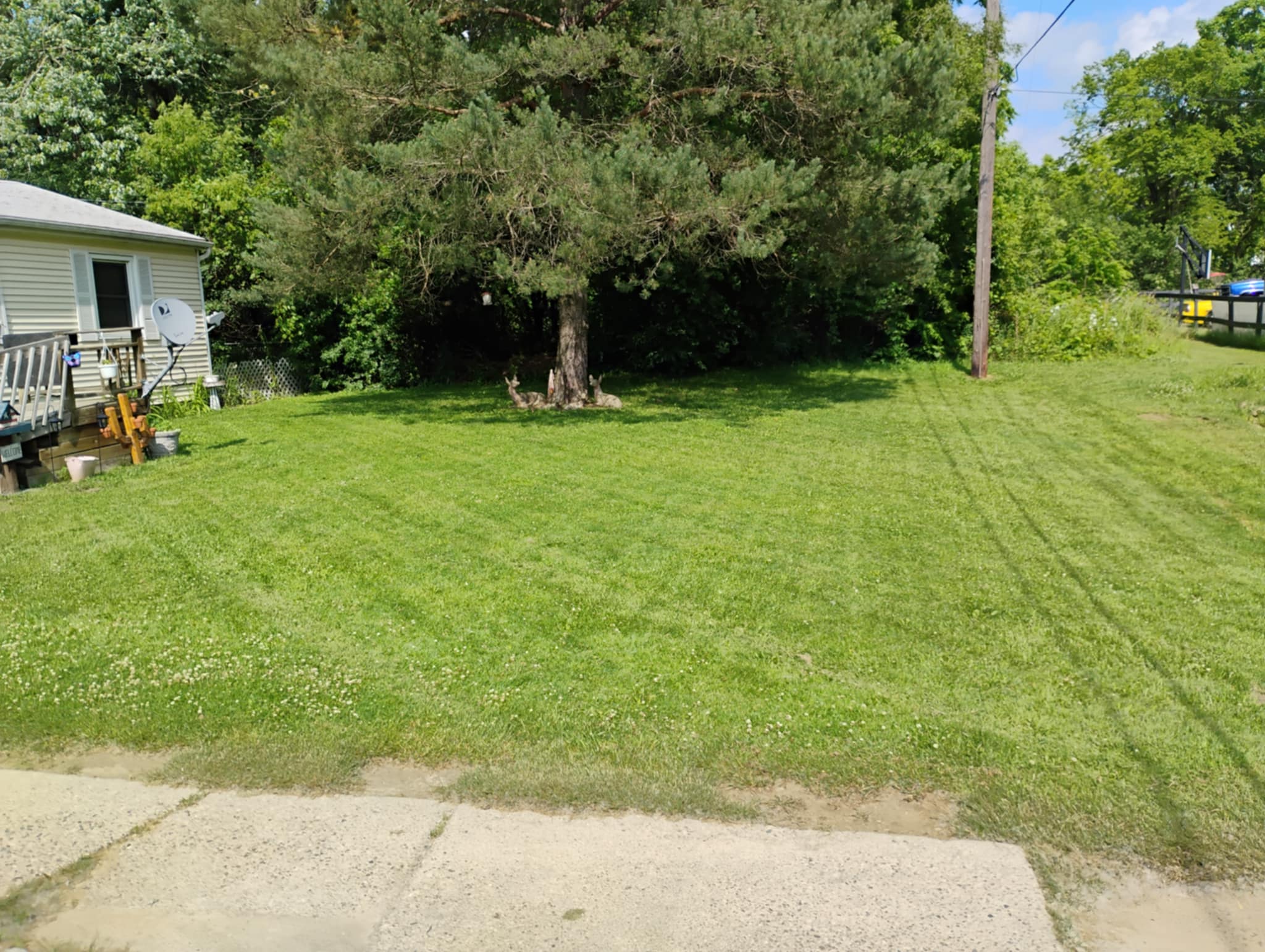 Completed Lawncare Work 1