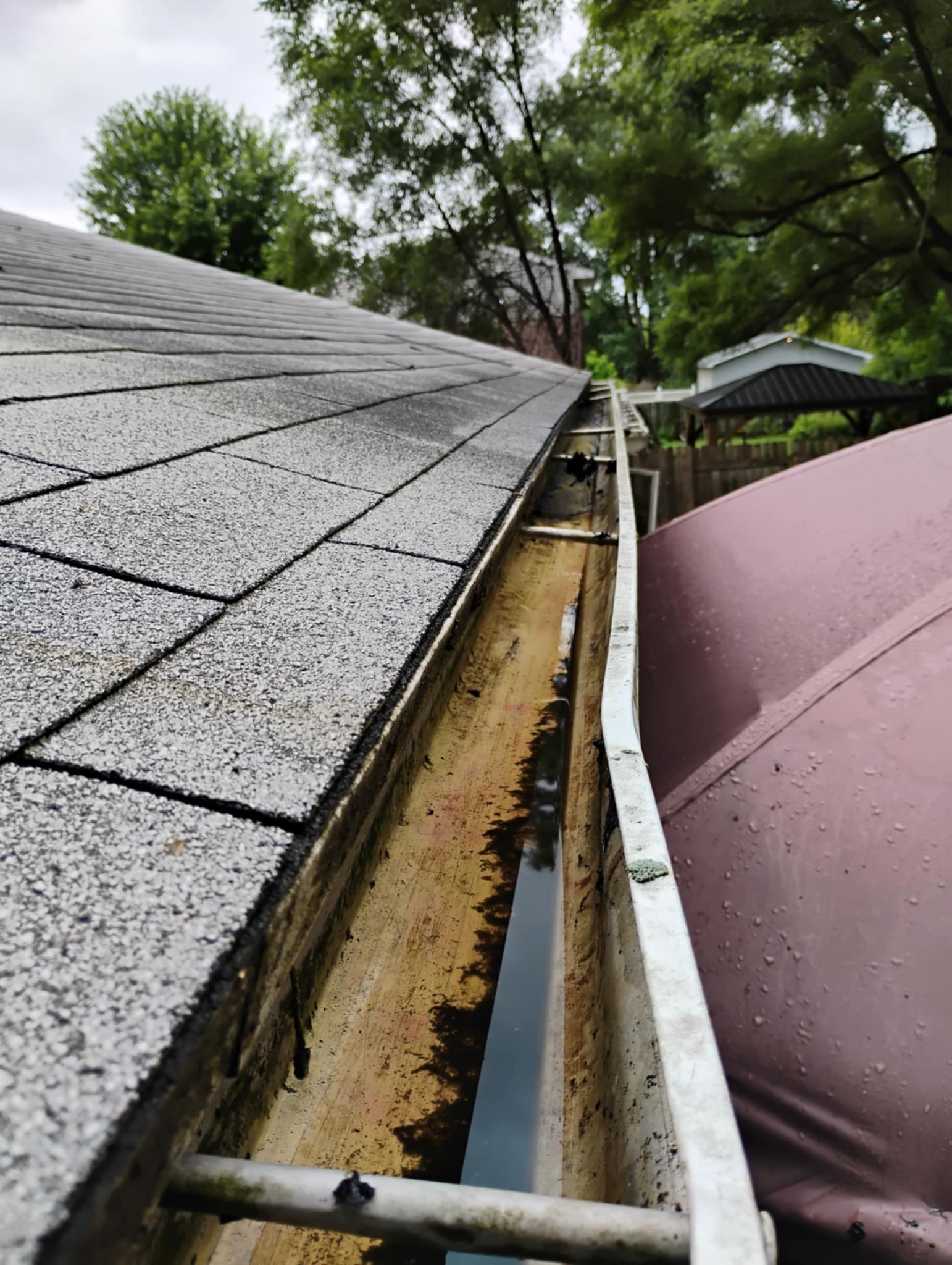 Gutters After
