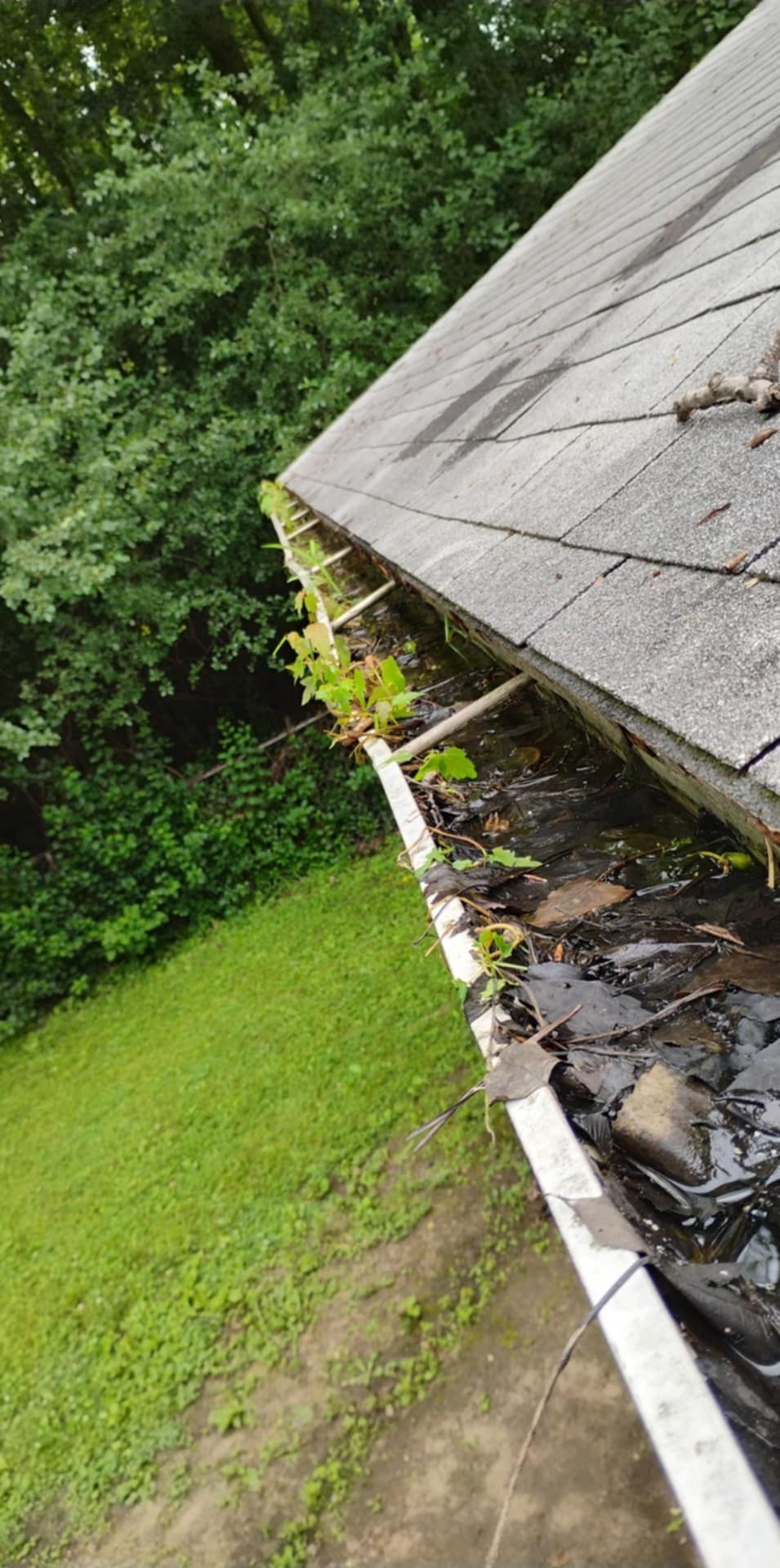 Gutters Before